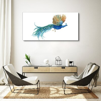 Tableau sur toile Un paon coloré en mouvement