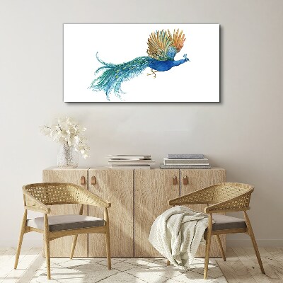Tableau sur toile Un paon coloré en mouvement
