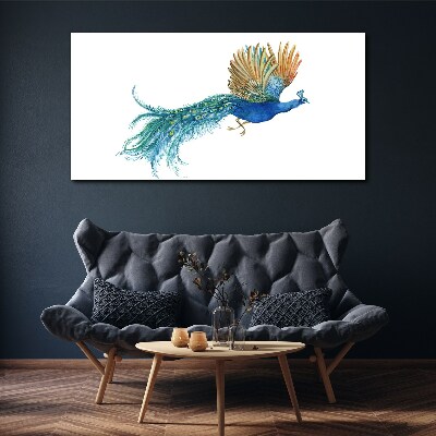 Tableau sur toile Un paon coloré en mouvement