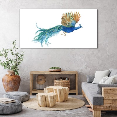 Tableau sur toile Un paon coloré en mouvement