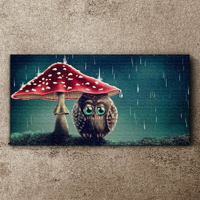 Tableau sur toile Un hibou sous un champignon sous la pluie