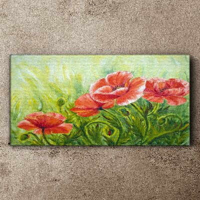 Tableau sur toile Fleurs dans une prairie au printemps