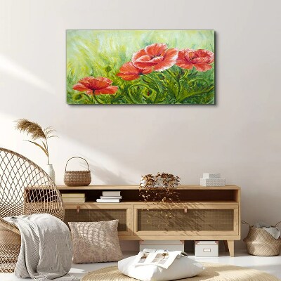 Tableau sur toile Fleurs dans une prairie au printemps