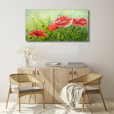 Tableau sur toile Fleurs dans une prairie au printemps
