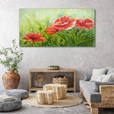 Tableau sur toile Fleurs dans une prairie au printemps