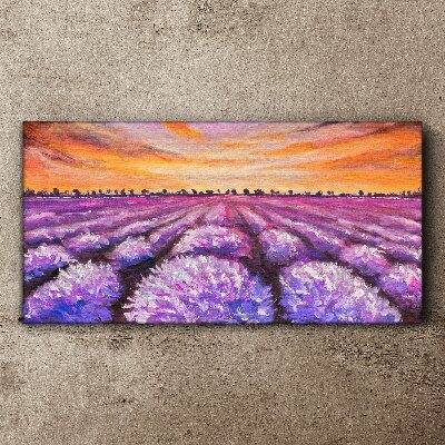 Tableau imprimé sur toile Champs de lavande violette au coucher du soleil