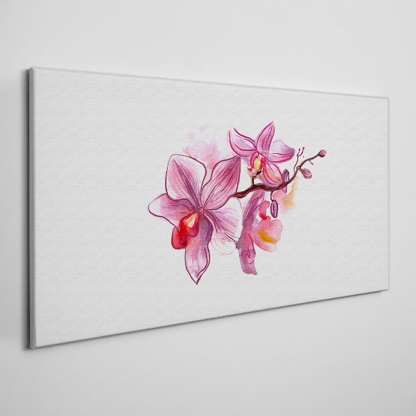 Tableau sur toile Orchidées roses sur fond blanc