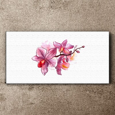 Tableau sur toile Orchidées roses sur fond blanc