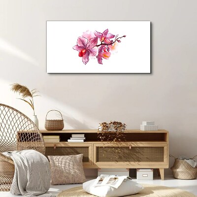 Tableau sur toile Orchidées roses sur fond blanc