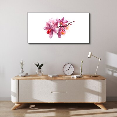 Tableau sur toile Orchidées roses sur fond blanc