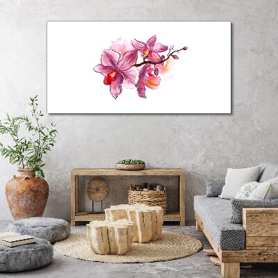 Tableau sur toile Orchidées roses sur fond blanc