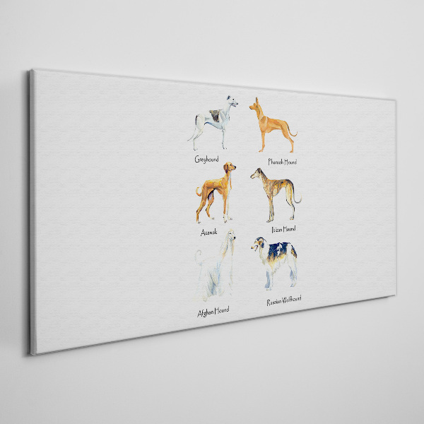 Tableau sur toile Races de chiens