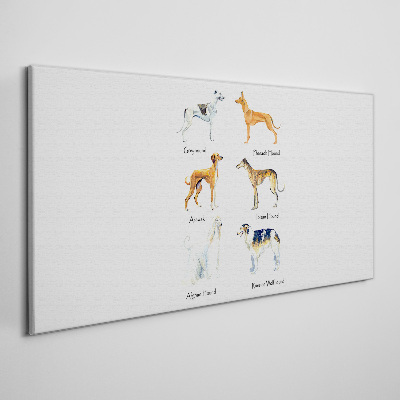 Tableau sur toile Races de chiens