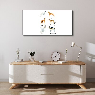Tableau sur toile Races de chiens