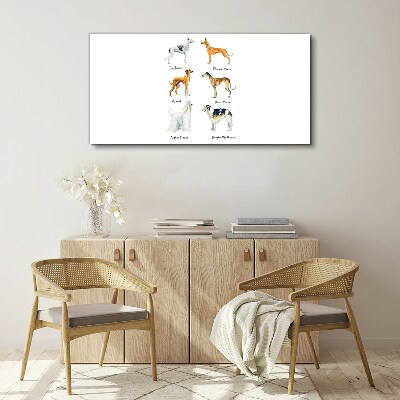 Tableau sur toile Races de chiens