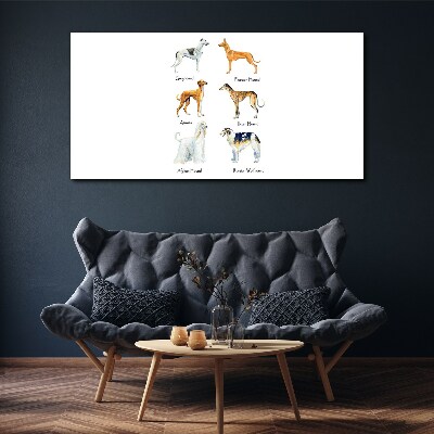 Tableau sur toile Races de chiens