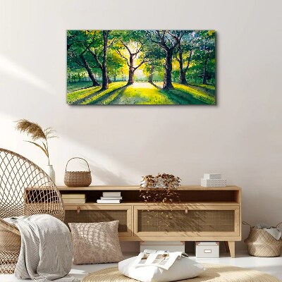 Tableau sur toile Rayons dorés dans le bosquet de la forêt