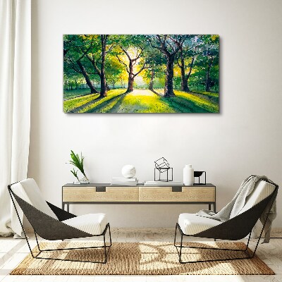 Tableau sur toile Rayons dorés dans le bosquet de la forêt