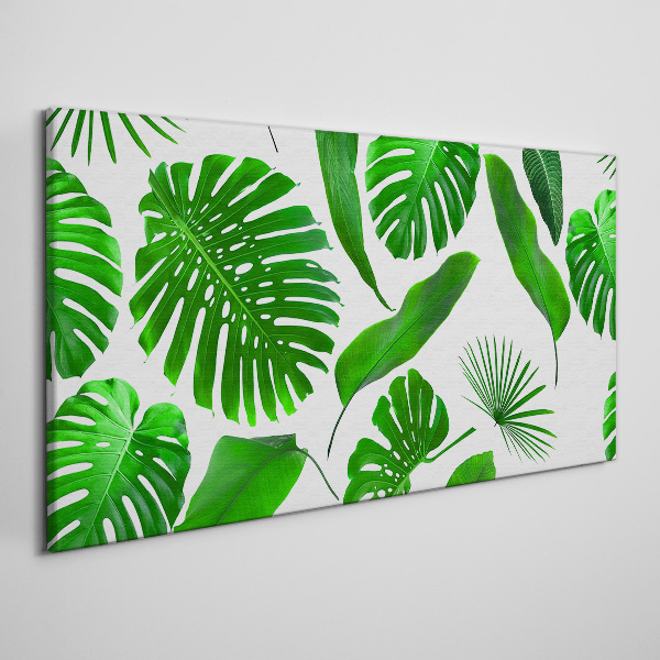 Tableau sur toile Vert tropical dans les feuilles