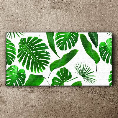 Tableau sur toile Vert tropical dans les feuilles