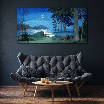 Tableau imprimé sur toile Paysage nocturne au-dessus de l'eau