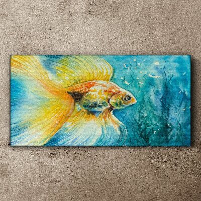 Tableau toile imprimée Poisson rouge dans l'eau colorée