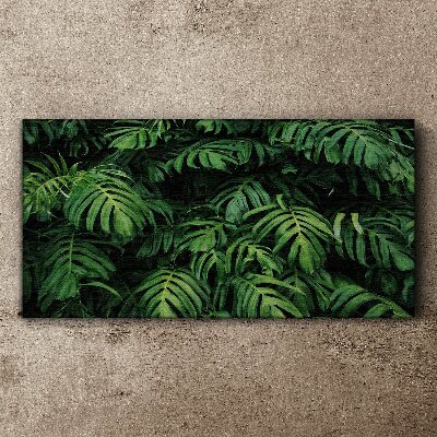 Tableau sur toile Jungle verte