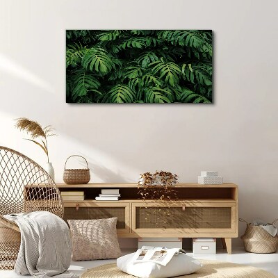 Tableau sur toile Jungle verte