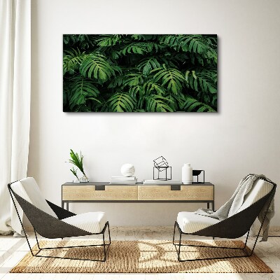 Tableau sur toile Jungle verte