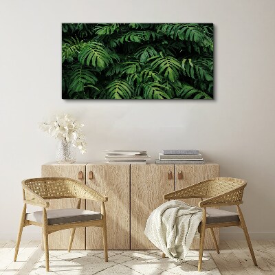 Tableau sur toile Jungle verte
