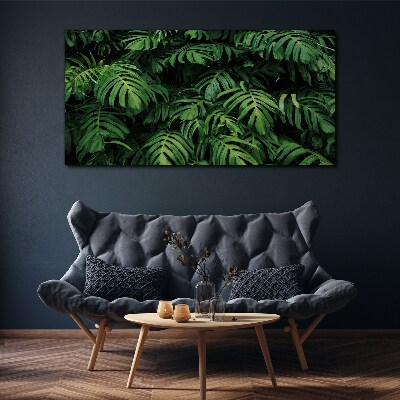 Tableau sur toile Jungle verte