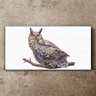 Tableau imprimé sur toile Chouette sur une branche