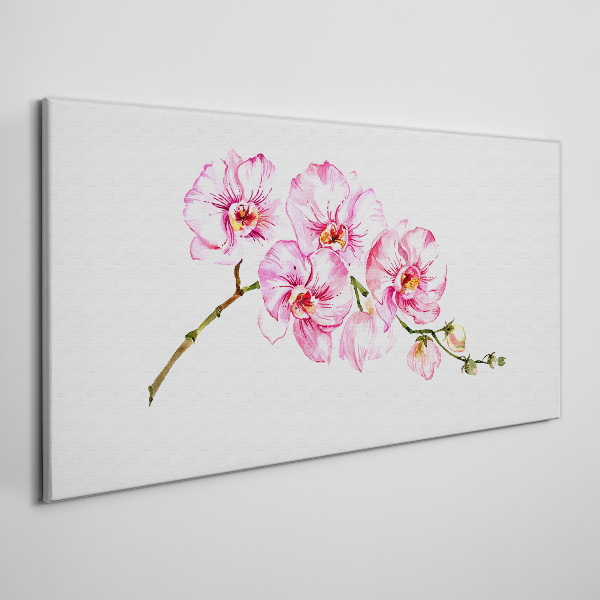 Tableau imprimé sur toile Orchidées roses sur fond blanc