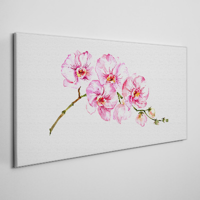 Tableau imprimé sur toile Orchidées roses sur fond blanc
