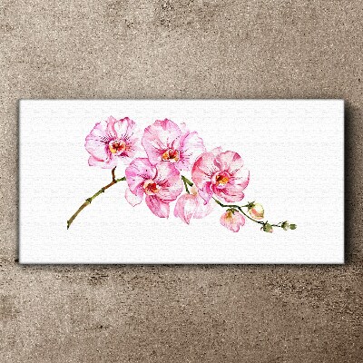 Tableau imprimé sur toile Orchidées roses sur fond blanc