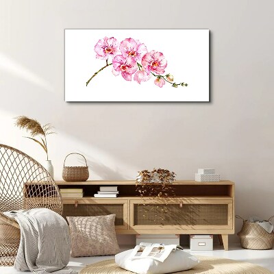 Tableau imprimé sur toile Orchidées roses sur fond blanc