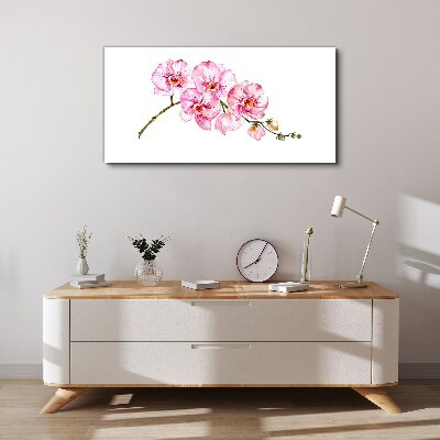 Tableau imprimé sur toile Orchidées roses sur fond blanc