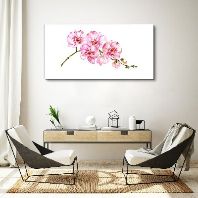 Tableau imprimé sur toile Orchidées roses sur fond blanc