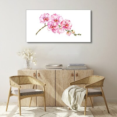Tableau imprimé sur toile Orchidées roses sur fond blanc