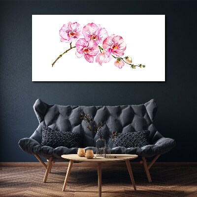 Tableau imprimé sur toile Orchidées roses sur fond blanc