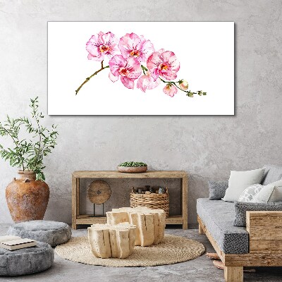 Tableau imprimé sur toile Orchidées roses sur fond blanc