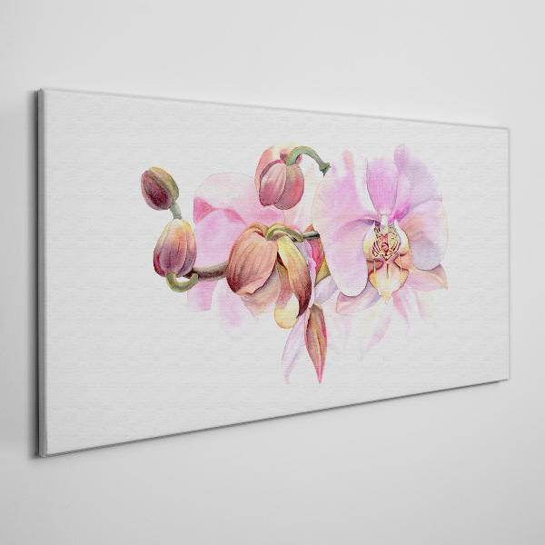 Tableau sur toile Orchidée aux tons pastel