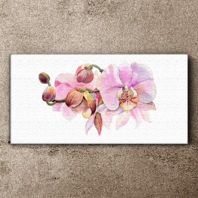 Tableau sur toile Orchidée aux tons pastel