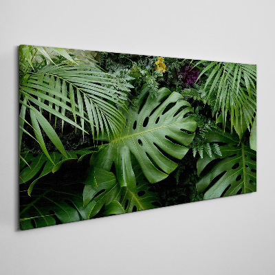 Tableau imprimé sur toile Verdure tropicale au cœur de la nature