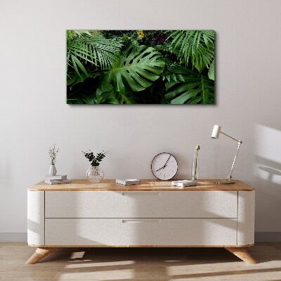 Tableau imprimé sur toile Verdure tropicale au cœur de la nature