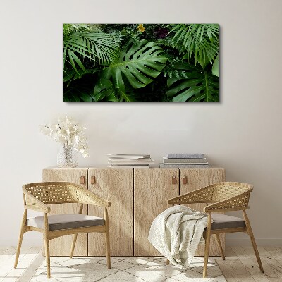 Tableau imprimé sur toile Verdure tropicale au cœur de la nature