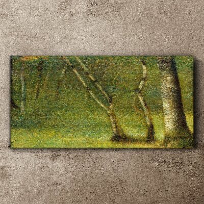 Tableau toile imprimée Forêt verte au soleil