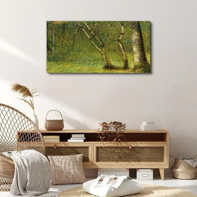 Tableau toile imprimée Forêt verte au soleil