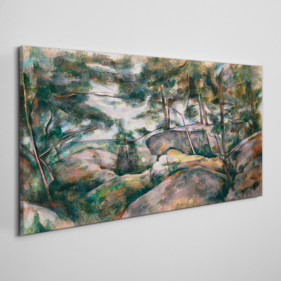 Tableau toile imprimée Un paysage rocheux parmi les arbres