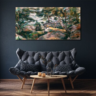 Tableau toile imprimée Un paysage rocheux parmi les arbres